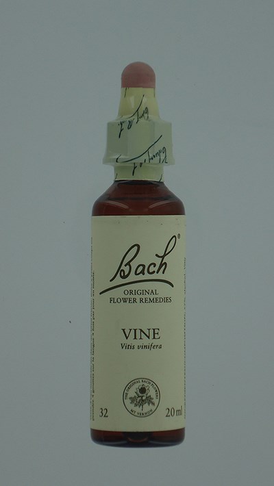 BACH FLOWER REMEDIE 32 VINE 20ML BACH FLOWER REMEDIE 32 VINE 20ML
