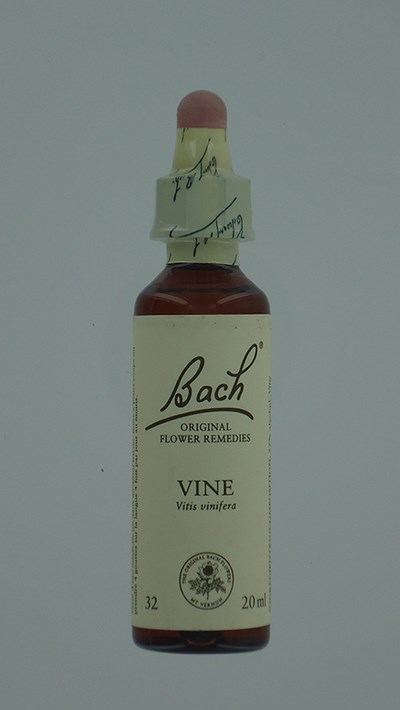 BACH FLOWER REMEDIE 32 VINE           20ML