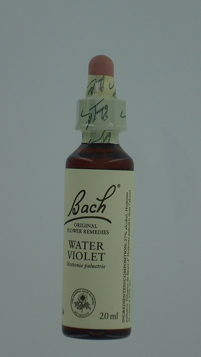 BACH FLOWER REMEDIE 34 WATER VIOLET 20ML BACH FLOWER REMEDIE 34 WATER VIOLET 20ML