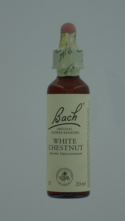 BACH FLOWER REMEDIE 35 WHITE CHESTNUT 20ML BACH FLOWER REMEDIE 35 WHITE CHESTNUT 20ML