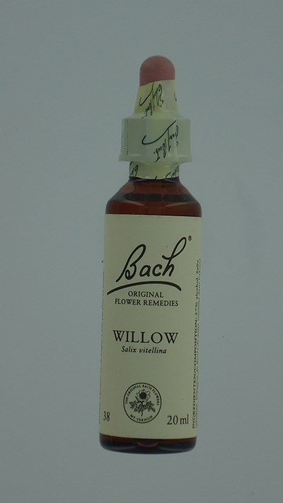 BACH FLOWER REMEDIE 38 WILLOW 20ML BACH FLOWER REMEDIE 38 WILLOW 20ML