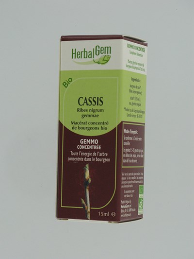 HERBALGEM ZWARTE BES          MACERAAT 15ML