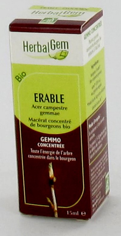 HERBALGEM ESDOORN             MACERAAT 15ML