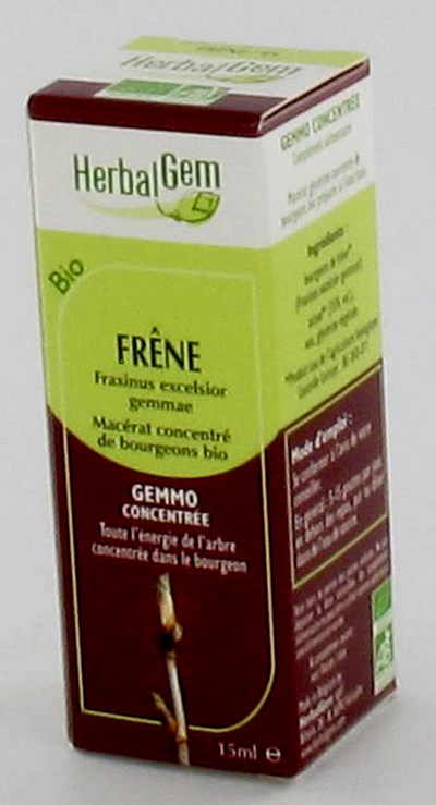 HERBALGEM FRENE                MACERAT 15ML