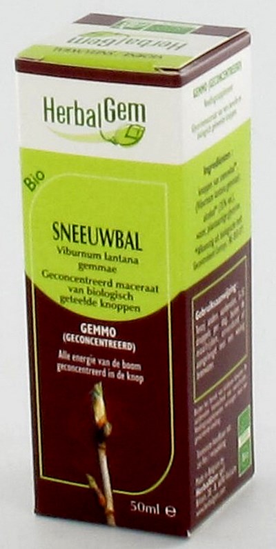 HERBALGEM WOLLIGE SNEEUWBAL   MACERAAT 50ML