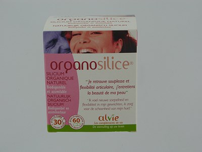 ORGANO SILICE GEL 60 ORGANO SILICE GEL 60
