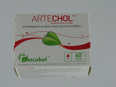 ARTECHOL GEL 60 ARTECHOL GEL 60
